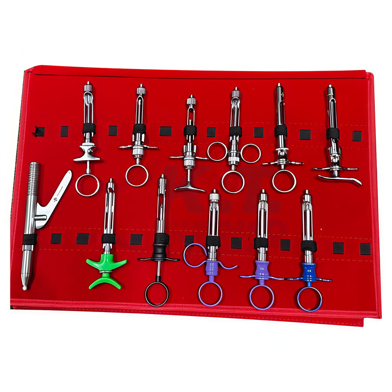12 PCS Dental Anesthetic Syringe Set – Stainless Steel Dental Instruments