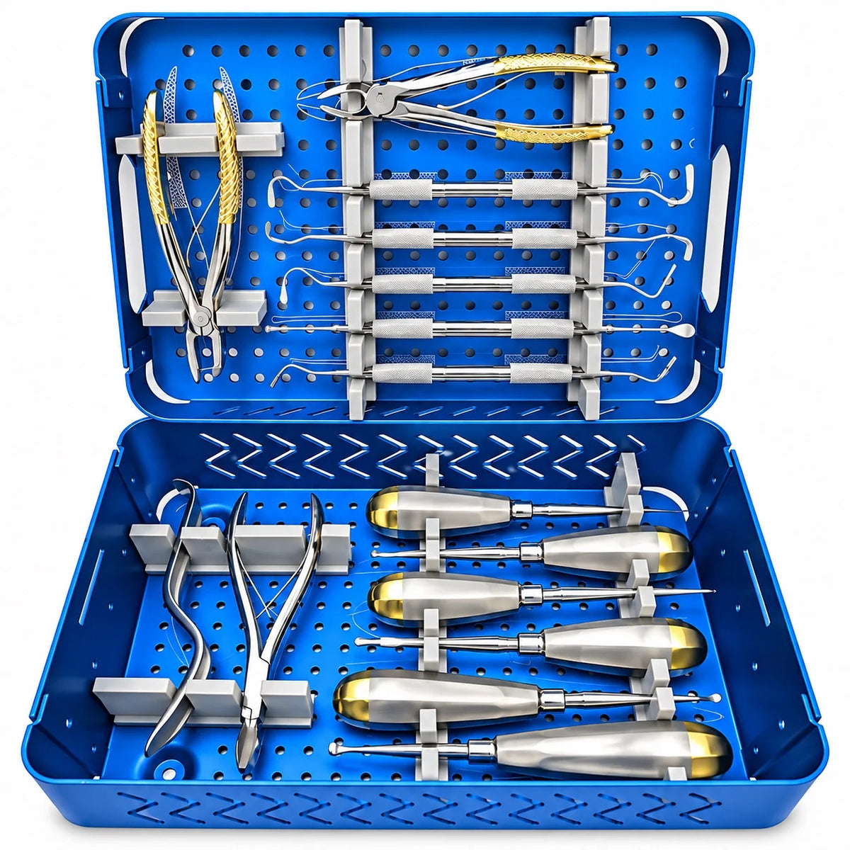 15-Piece Veterinary Dental Small Animal Surgical Instrument Set with Box