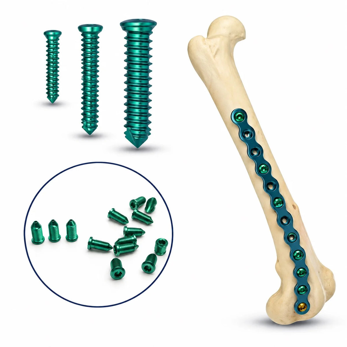 20-Piece Titanium Veterinary Orthopedic Screws for Bone Fixation