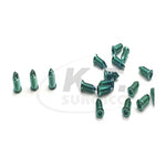 20-Piece Veterinary Orthopedic Titanium Screws – Bone Fracture Fixation Implants